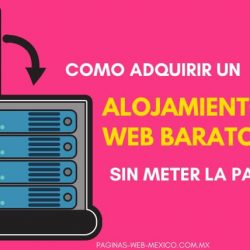 Como Adquirir un Alojamiento Web Barato sin Meter la Pata
