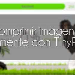 Comprimir imágenes fácilmente para reducir el peso y mejorar el seo con TinyPNG