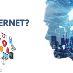 ¿Qué es Internet y porque es importante que tu negocio este en el?