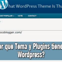 ¿Como saber que Tema y Plugins tiene un sitio de WordPress?