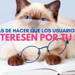 5 FORMAS DE HACER QUE TUS USUARIOS PERMANEZCAN Y SE INTERESEN POR TU SITIO