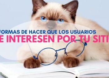 5 FORMAS DE HACER QUE TUS USUARIOS PERMANEZCAN Y SE INTERESEN POR TU SITIO